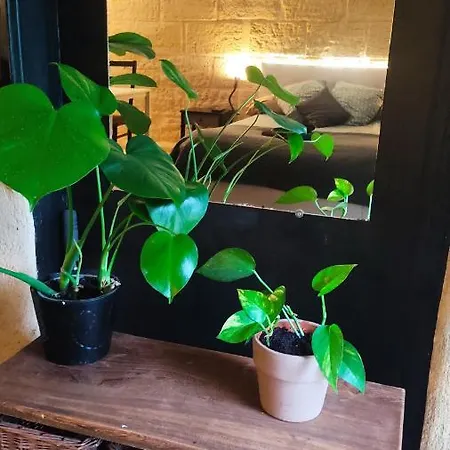 --- Appartement entier au coeur des vignes 1 à 4 pers --- Barsac  Exterior foto